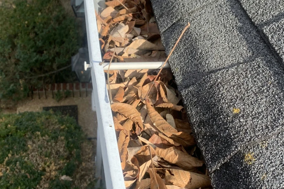 Gutter Cleaning Troutville